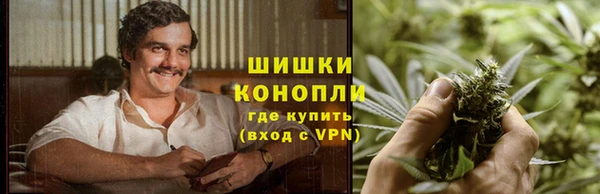 прущие крисы Белокуриха