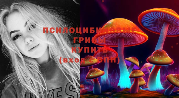 apvp Беломорск