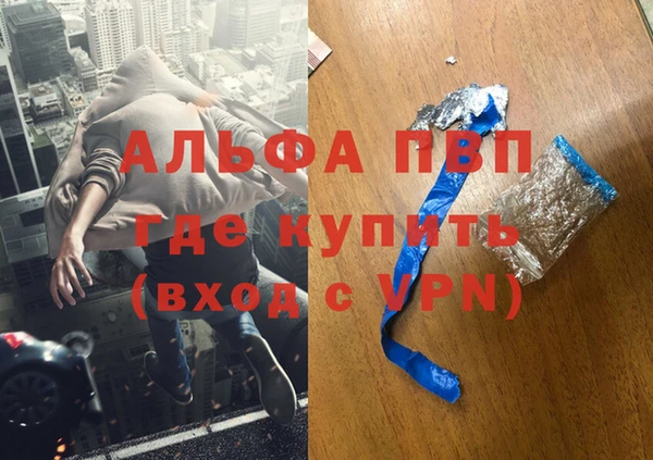 прущие крисы Белокуриха
