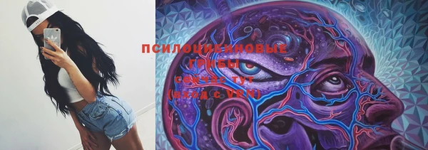 apvp Беломорск