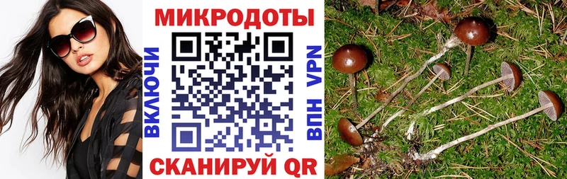 Галлюциногенные грибы мухоморы  Окуловка 